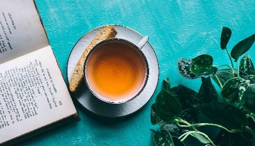 Cup of tea with biscuit on the side, a book and a plant.