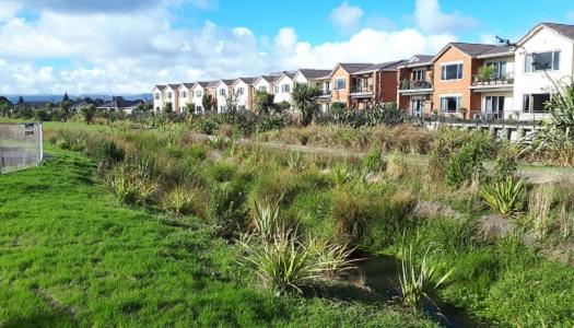 greenway-next-to-row-of-houses