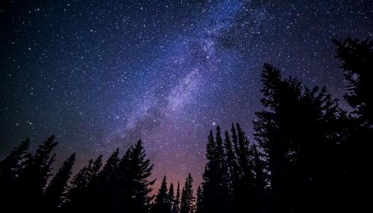starlit-sky-with-tree-silouettes