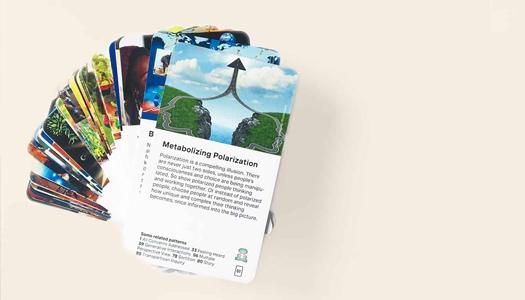 Co-Intelligence-Institute's-wise-democracy-cards