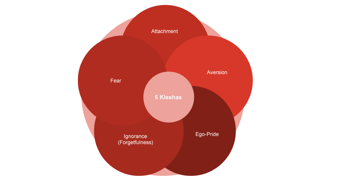 Five Kleshas image