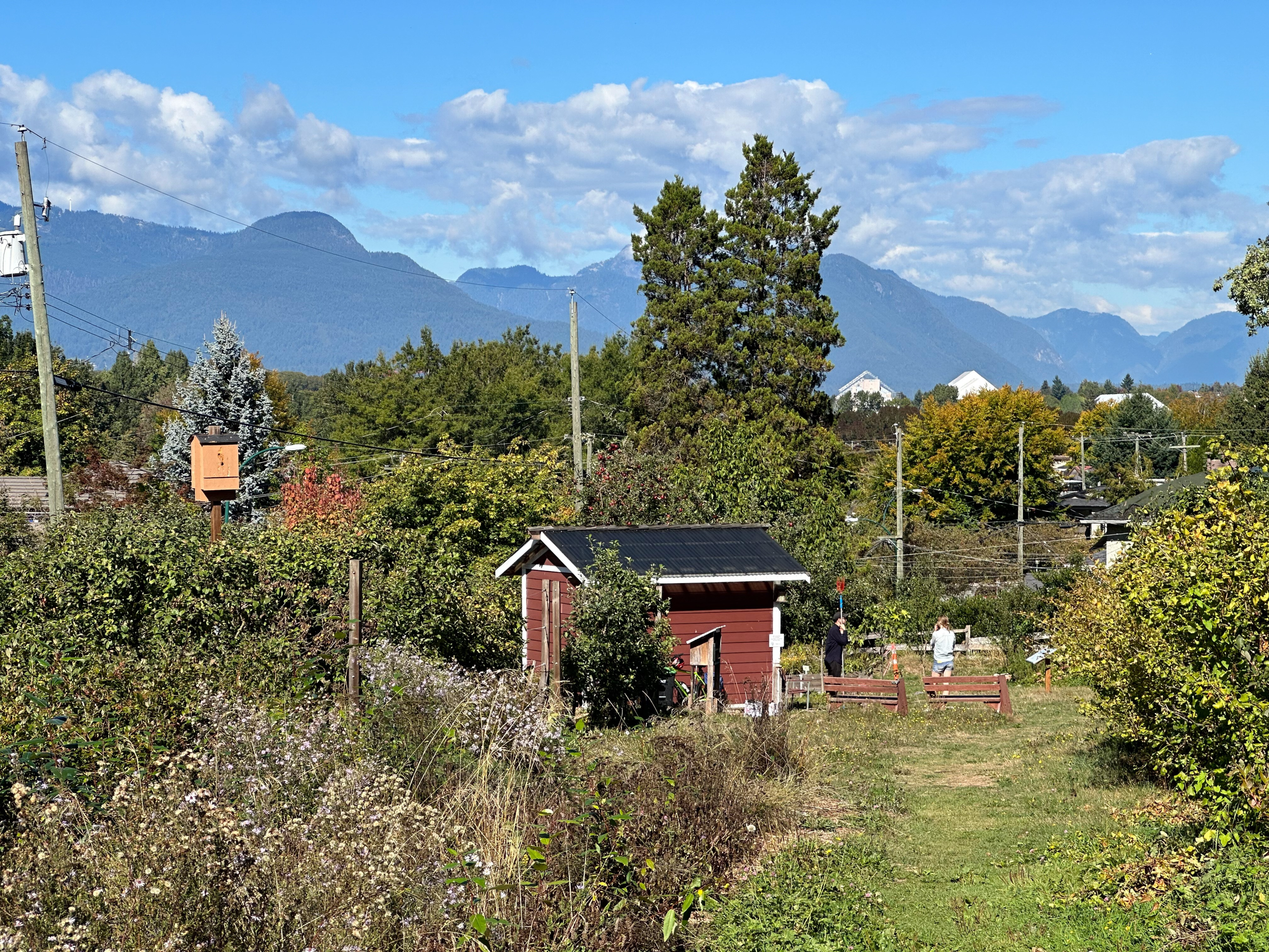 Copley Shed view overlooking the mountains
