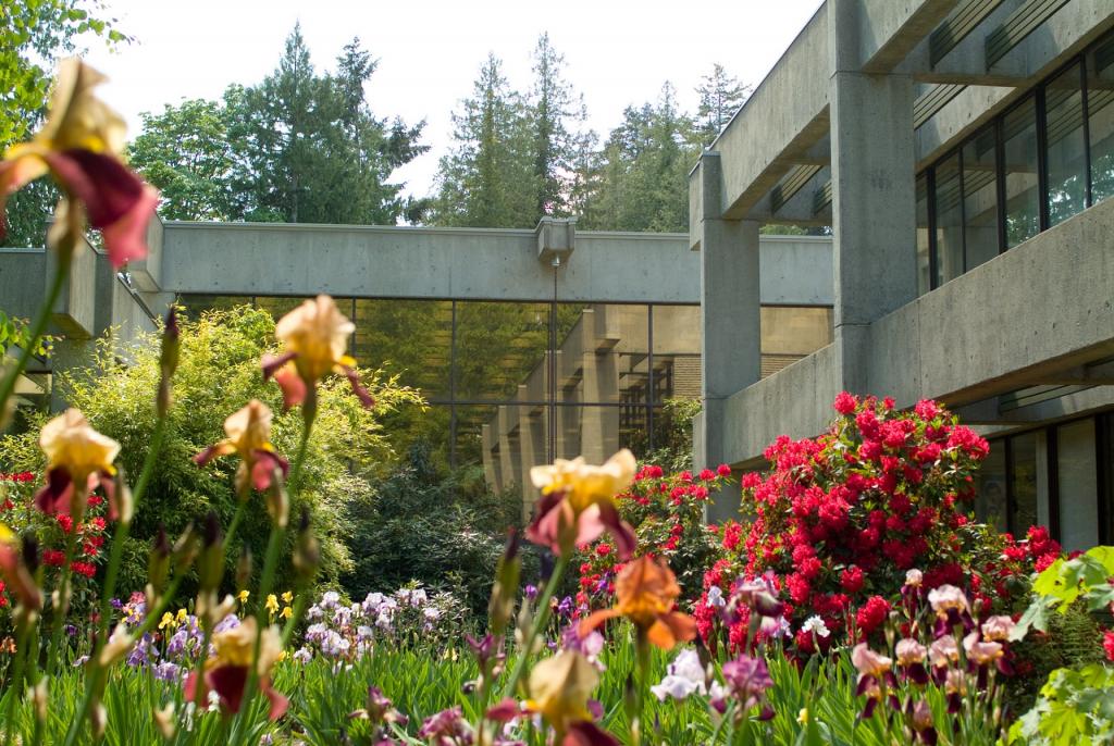 Irises and Rhododendrons grow outside the cement and glass library