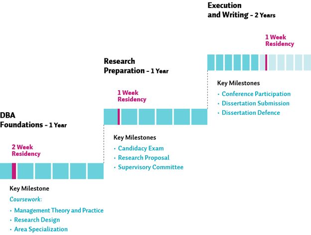Graphic showing phases of DBA program and milestones.