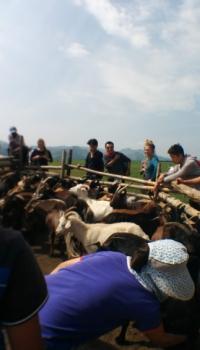 Mongolia Field School