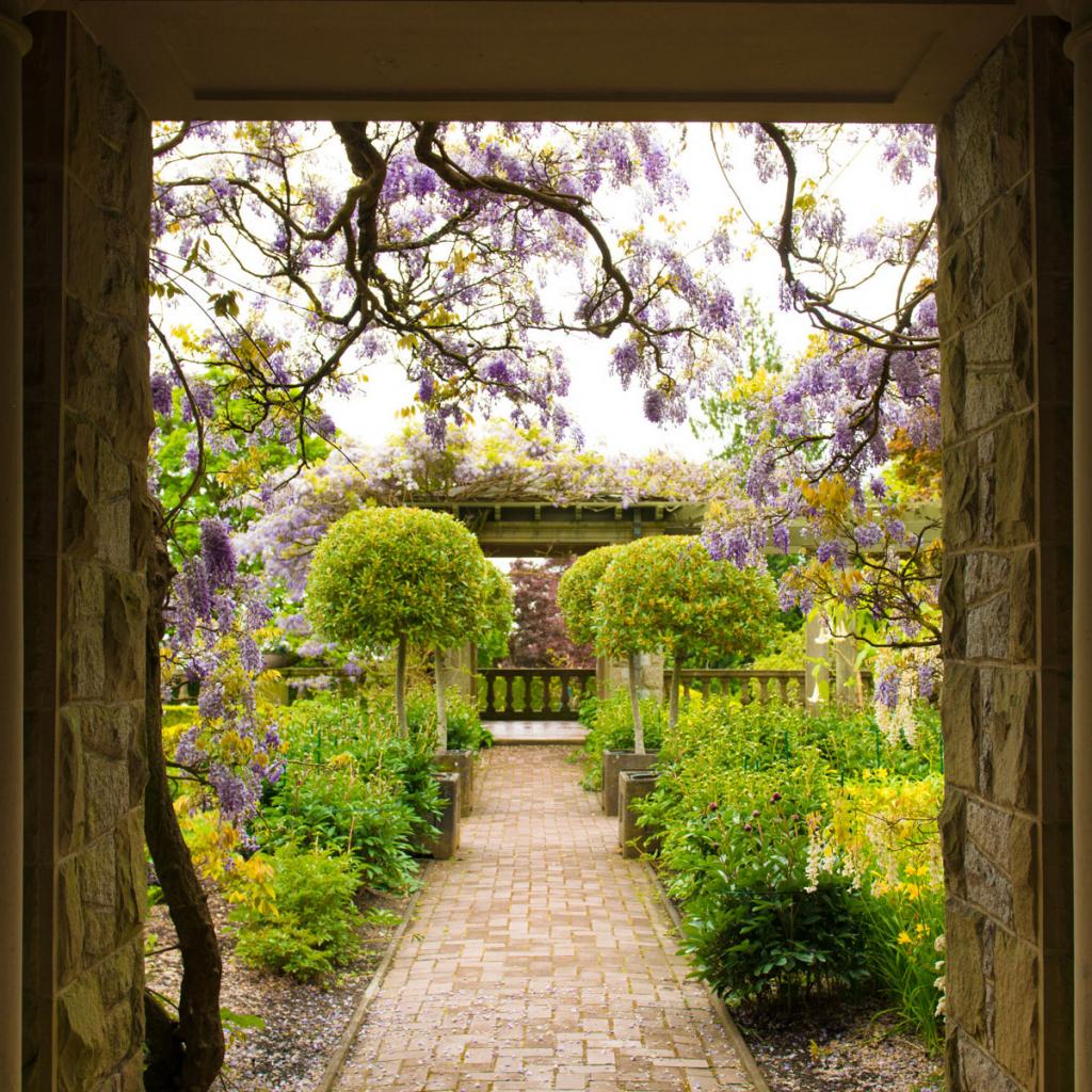 Italian garden at RRU