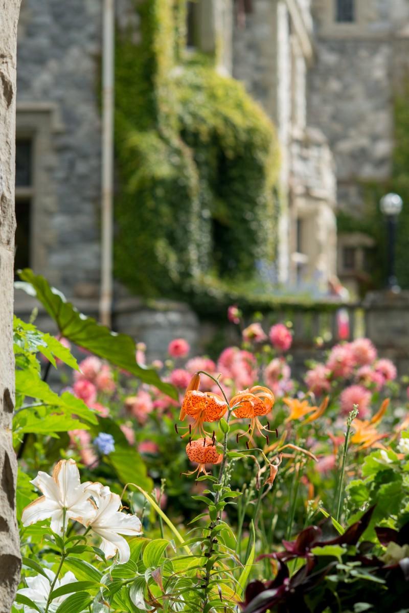 Royal-Roads-University-Italian-garden-flowers-in-bloom