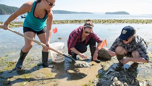 Students dig in the sand along a shoreline on Salt Spring Island.