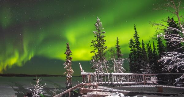 A night sky lit with the aurora borealis over a snowy field