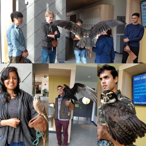 American Kestrel Falcon, Turkey Vulture and Spectacled Owl sitting on students hands.