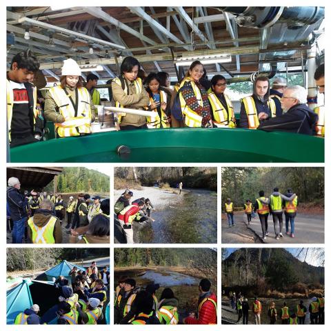 Various pictures of the BBA students at Goldstream Park.