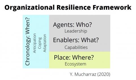 Graphic that has four sections, left section Chronology: When, Right side, Agents: Who? Leadership Enables: What? Capabilities and Place: Where? Ecosystem by Y. Mucharraz (2020)