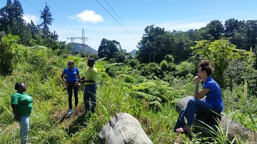 Group-of-four-people-in-lush-vegetation-in-Saint-Lucia
