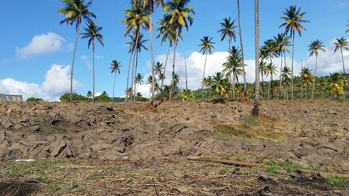 Example-of-land-degradation-and-erosion-in-Saint-Lucia