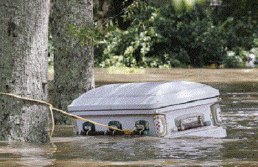white-casket-tied-to-tree-in-floodwater