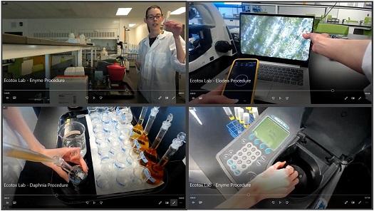 Daphnia-lab-field-images