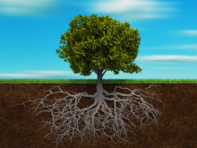 Painting with tree showing at top of ground and all the roots below ground.