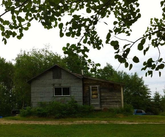 The cabin where Corrine Lewis-Couture grew up. It's rustic and in among the trees.