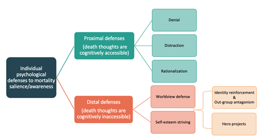 Terror Management Theory Chart