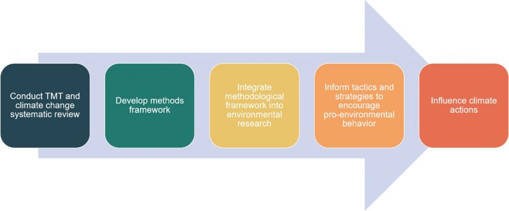 TMT insights and methods