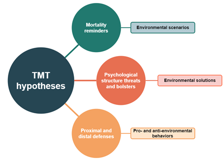 TMT Methodological Framework 