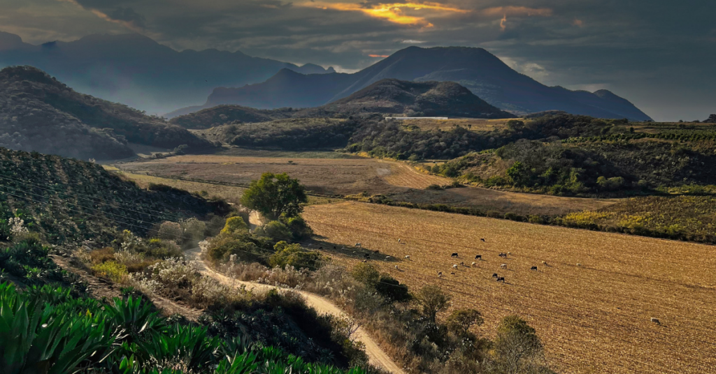 Picture of landscape near Mascota in the state of Jalisco. Mascota is the central community for the region.