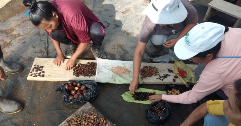 People sorting seeds