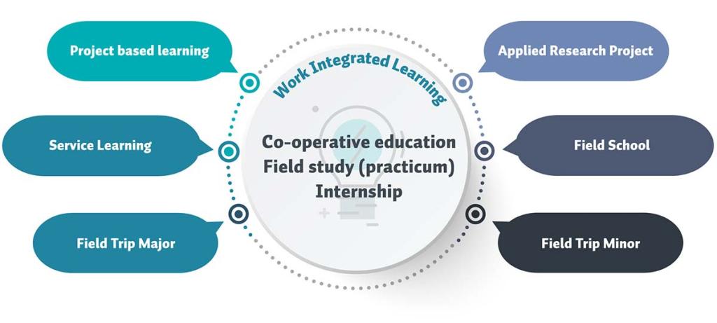 a diagram showing the branches of Work Integrated Learning, which are described on this page.