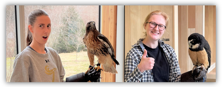 Students holding a Red-tailed Hawk (left)  and a Spectacle Owl (Right) with a leather glove