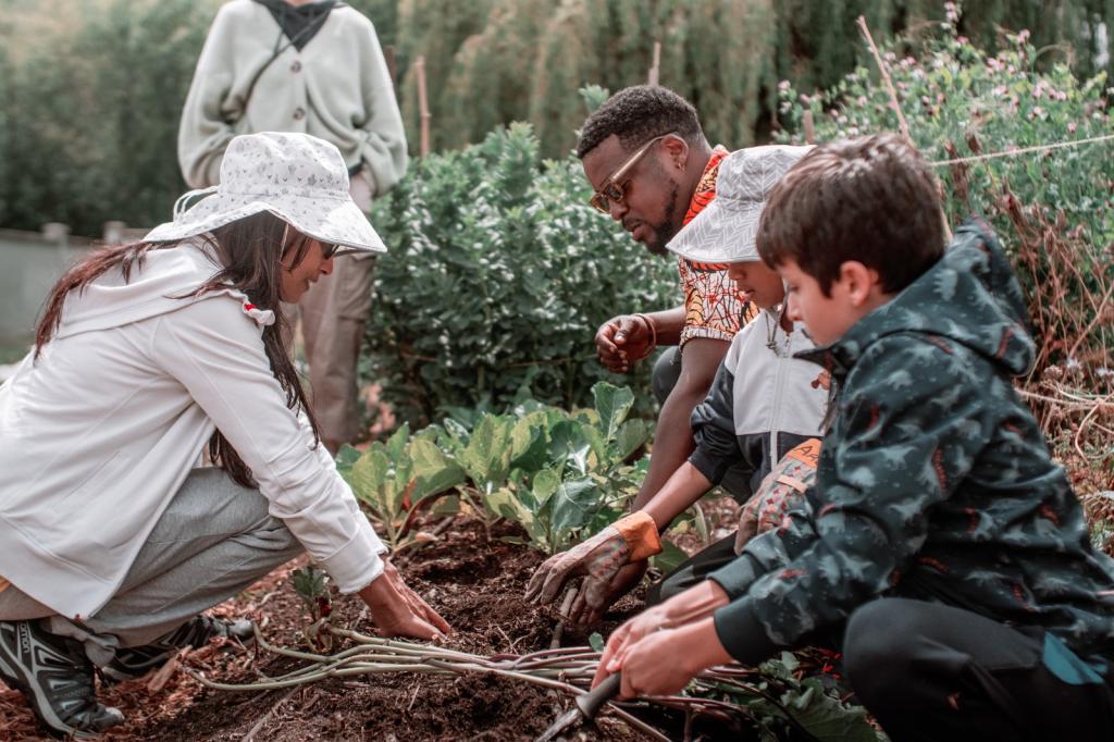 People plant collard greens in a garden.