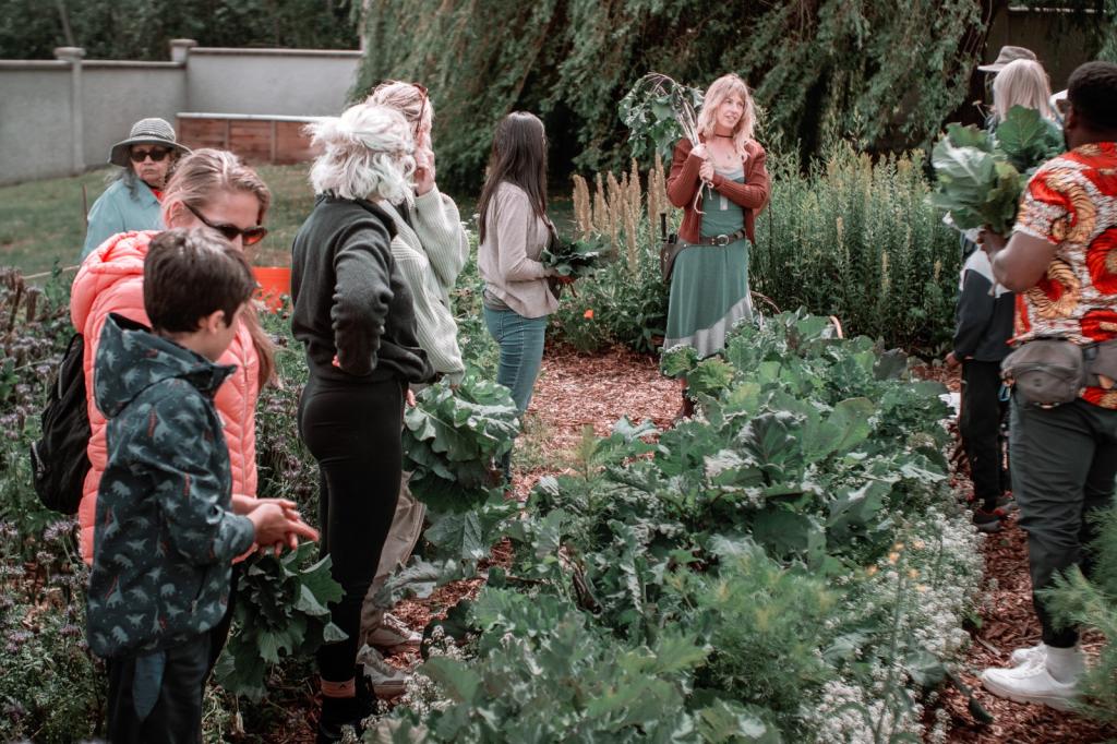 People learn about collard greens in a garden