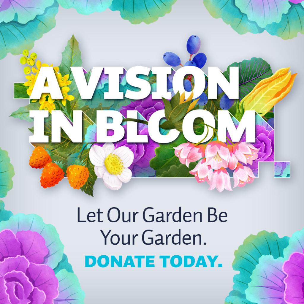 Vision in Bloom wordmark