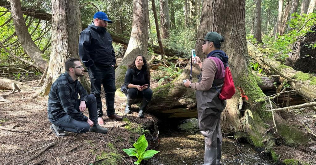 Creek monitoring