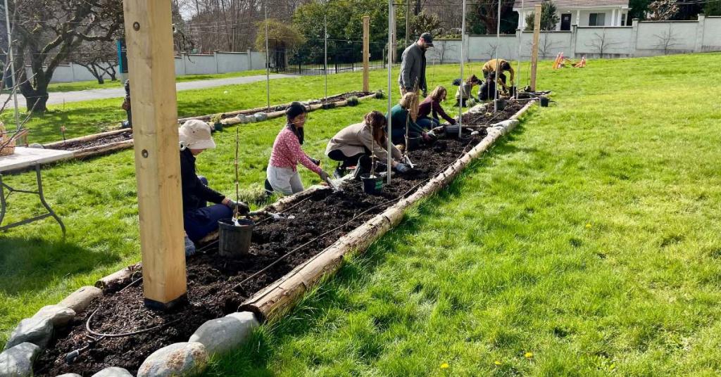 Polyculture planting