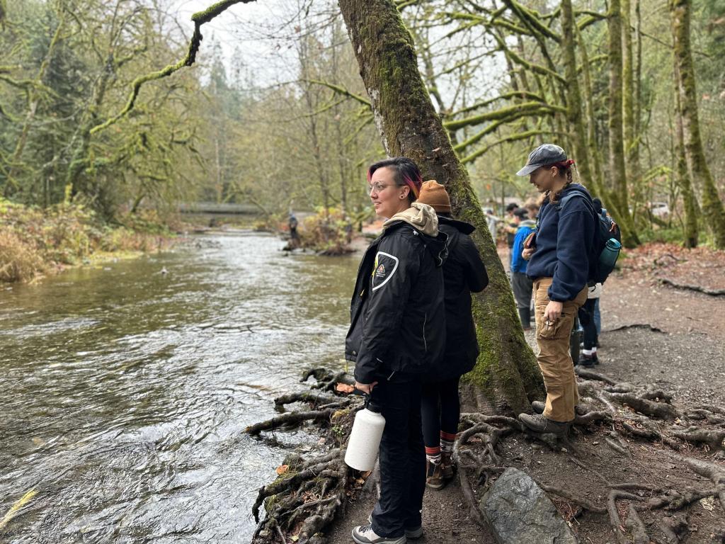 Student looks at spawning salmon in stream