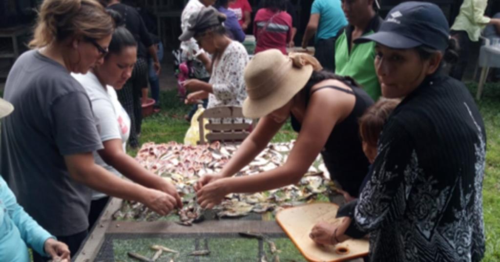 Women standing on either side of a table sorting small fish.