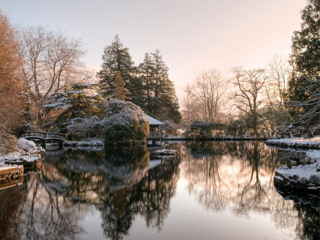 A pound featuring a wooden arched bridge with snow, surrounded by trees with snow on top in shades of red, orange, and green.