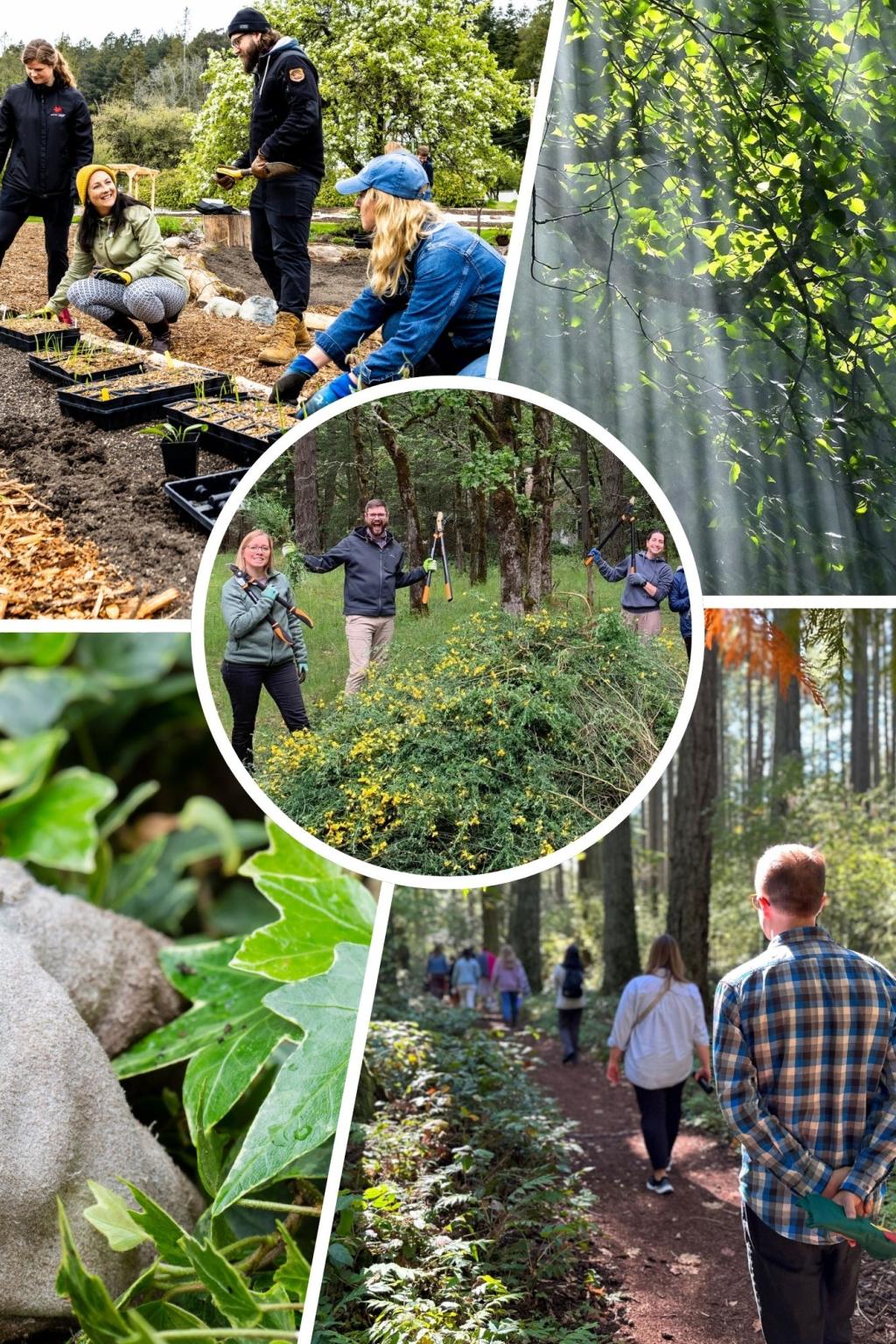 Collage of photos showing program offerings