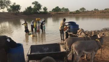 People gathering water in a river and a person with cart and donkeys hauling the water away. 