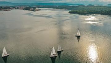 sailboats-in-sunny-water