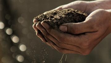 Hand holding dirt.