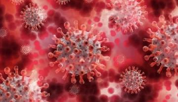 Microscopic-image-of-coronavirus