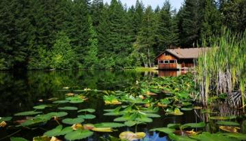 Mary-Lake-Nature-Sanctuary