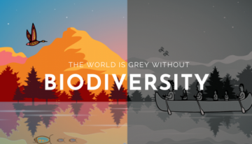 The-world-is-grey-without-biodiversity-poster