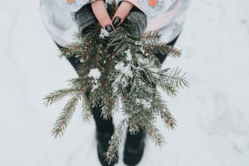 A fir tree branch covered with a little bit of snow in a person's hands 
