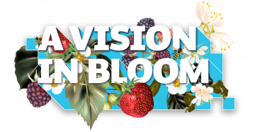 A Vision in Bloom