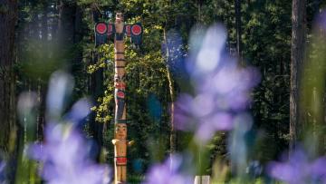 'Sael' (Harmony), Royal Roads University campus welcoming pole, carved by Tom LaFortune. 