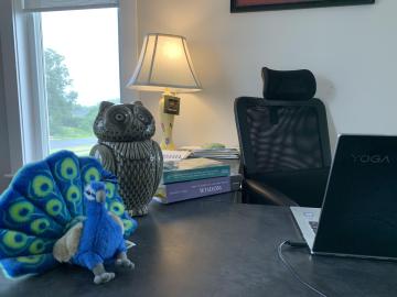 Photo of office with book about wisdom and owl sitting on desk