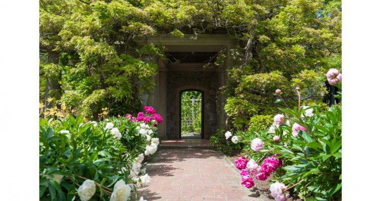 Royal-Roads-Italian-gardens-white-and-pink-roses-beside-pathway