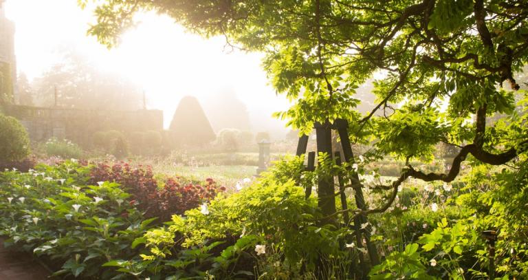 Campus gardens through a hazy sunrise